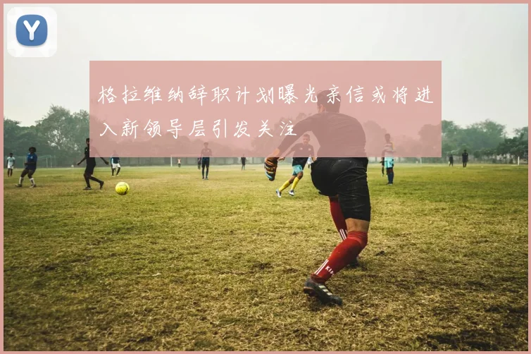 格拉维纳辞职计划曝光亲信或将进入新领导层引发关注
