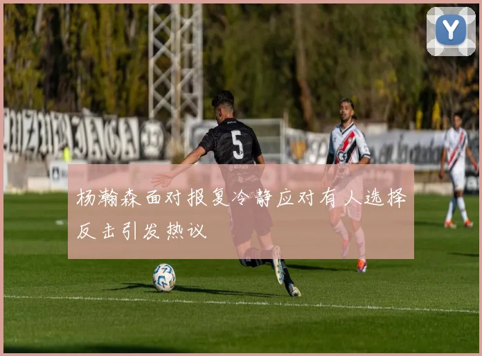 杨瀚森面对报复冷静应对有人选择反击引发热议