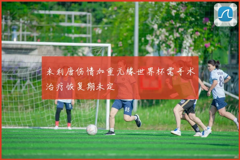 米利唐伤情加重无缘世界杯需手术治疗恢复期未定